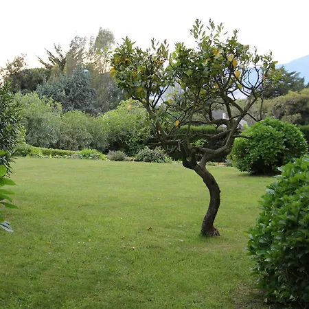 Duplex A 100 M De La Daire