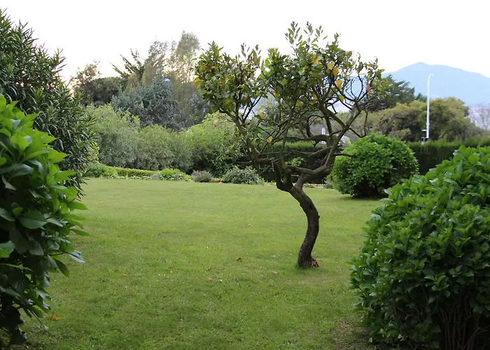 Duplex A 100 M De La Appartement